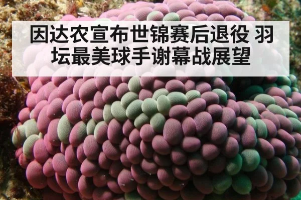 因达农宣布世锦赛后退役 羽坛最美球手谢幕战展望