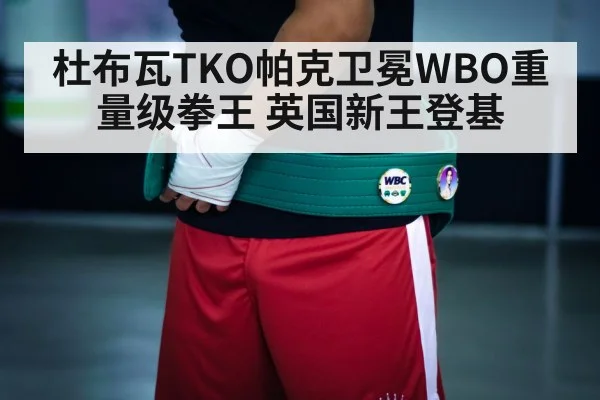 boxing champion belt